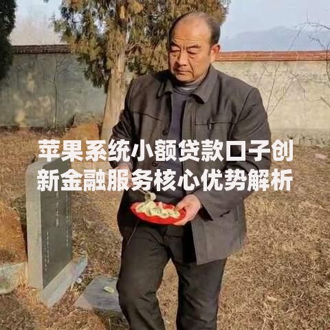 苹果系统小额贷款口子创新金融服务核心优势解析