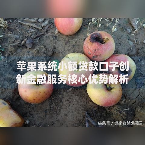 苹果系统小额贷款口子创新金融服务核心优势解析