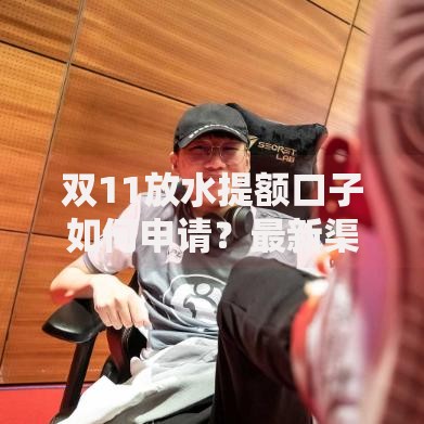 双11放水提额口子如何申请？最新渠道与技巧解析