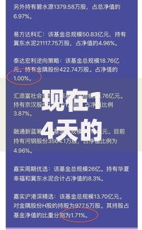 现在14天的口口子有哪些？正规平台解析与申请指南