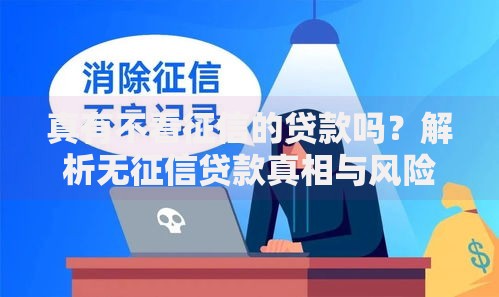 真有不看征信的贷款吗？解析无征信贷款真相与风险