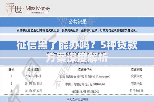 征信黑了能办吗？5种贷款方案深度解析