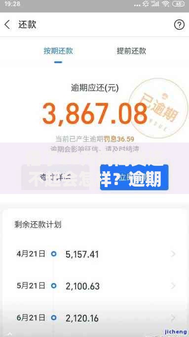 借了20万网商贷还不起会怎样？逾期后果和应对方法全解析