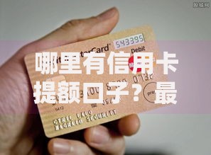 哪里有信用卡提额口子？最新申请渠道及技巧解析