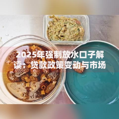 2025年强制放水口子解读：贷款政策变动与市场影响分析