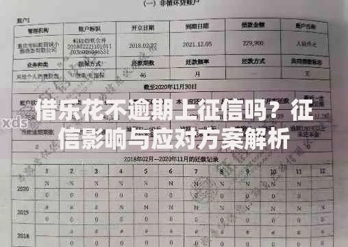借乐花不逾期上征信吗？征信影响与应对方案解析