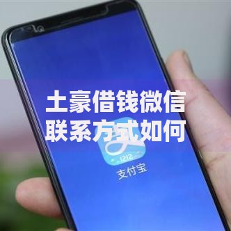土豪借钱微信联系方式如何快速获取大额资金？