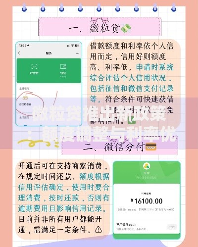 微粒贷推出新政策：额度调整与利率优化深度解读