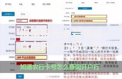 根据银行卡号可以查出开户行吗？教你3招快速定位银行信息