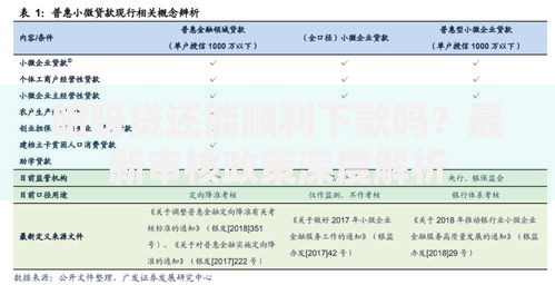 哈呀贷还能顺利下款吗？最新审核政策深度解析