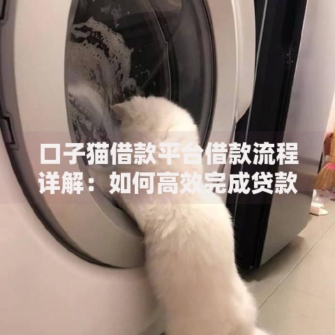 口子猫借款平台借款流程详解：如何高效完成贷款申请？