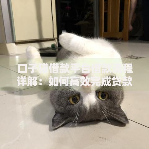 口子猫借款平台借款流程详解：如何高效完成贷款申请？