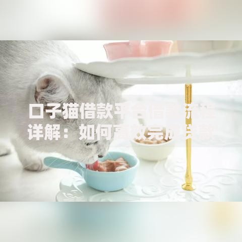 口子猫借款平台借款流程详解：如何高效完成贷款申请？