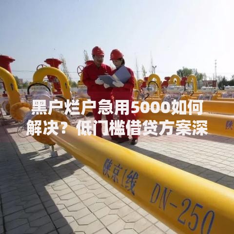 黑户烂户急用5000如何解决？低门槛借贷方案深度解析