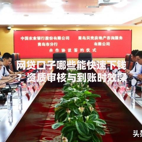 网贷口子哪些能快速下钱？资质审核与到账时效深度解析