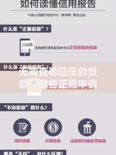 无需查看征信的贷款有哪些正规申请渠道？