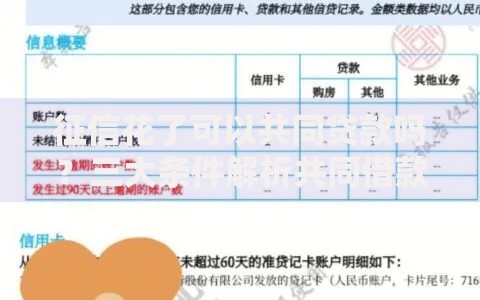征信花了可以共同贷款吗？三大条件解析共同借款可行性