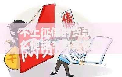 不上征信的贷款多么便捷？真实体验与深度解析