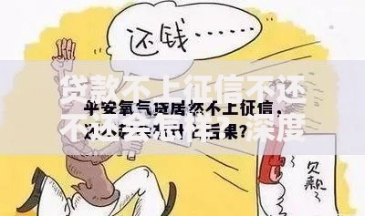 贷款不上征信不还不还会怎样？深度解析风险与后果
