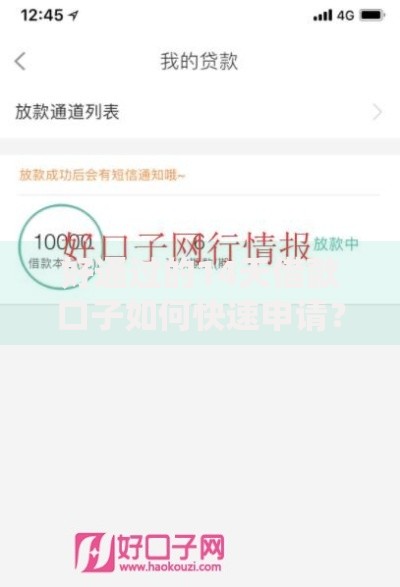 好通过的14天借款口子如何快速申请？全面解析与避坑指南