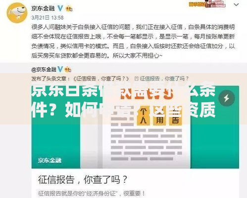 京东白条借款需要什么条件？如何申请？这些资质和流程需提前了解