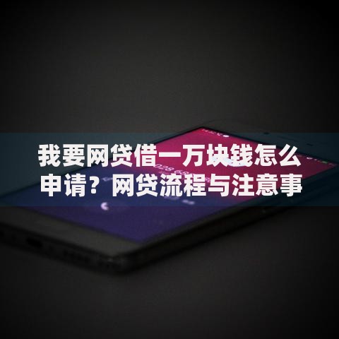 我要网贷借一万块钱怎么申请?网贷流程与注意事项详解 我要网贷借一万块钱怎么申请?网贷流程与注意事项详解