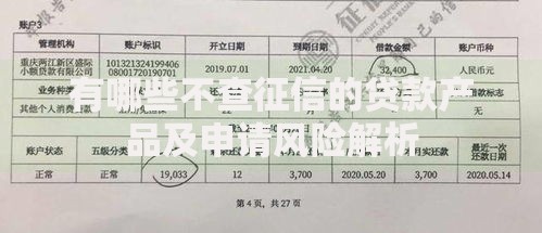 有哪些不查征信的贷款产品及申请风险解析