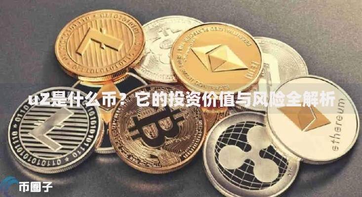 uZ是什么币？它的投资价值与风险全解析