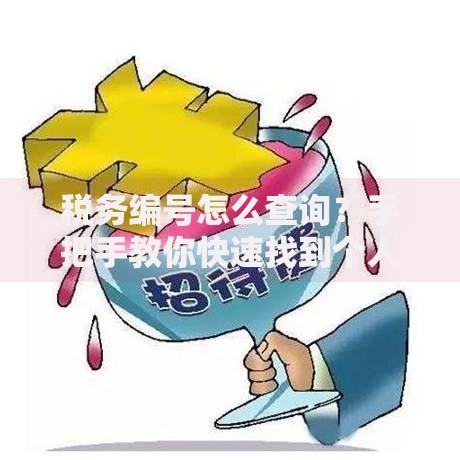 税务编号怎么查询？手把手教你快速找到个人和企业税号