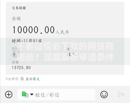 不看征信必下款的网贷有哪些？深度解析申请条件与风险