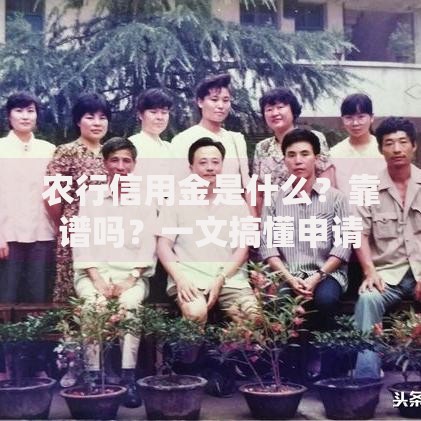 农行信用金是什么？靠谱吗？一文搞懂申请条件与使用技巧