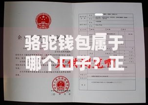 骆驼钱包属于哪个口子？正规贷款平台资质解析与选择指南