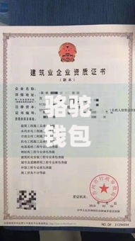 骆驼钱包属于哪个口子？正规贷款平台资质解析与选择指南