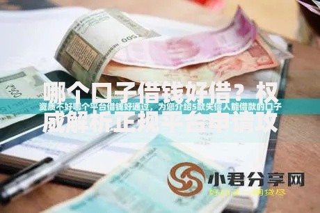 哪个口子借钱好借？权威解析正规平台申请攻略