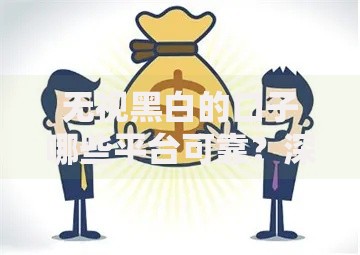 无视黑白的口子哪些平台可靠？深度解析贷款渠道选择