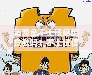消费金不上征信能贷款吗？不上征信借款渠道全解析