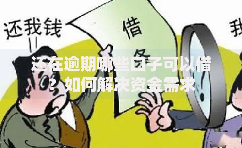还在逾期哪些口子可以借？如何解决资金需求