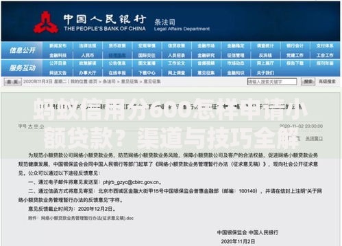 蚂蚁信用分600怎样申请小额贷款？渠道与技巧全解析