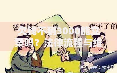 欠钱不到3000能立案吗？法律流程与维权要点解析