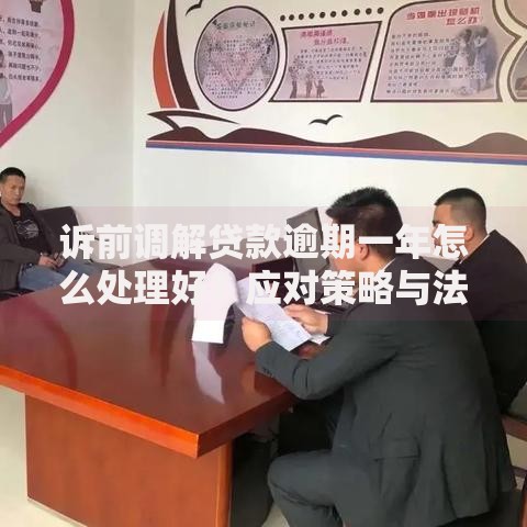 诉前调解贷款逾期一年怎么处理好？应对策略与法律建议