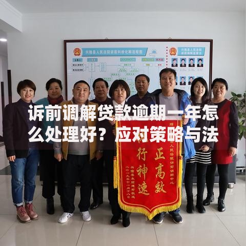 诉前调解贷款逾期一年怎么处理好？应对策略与法律建议