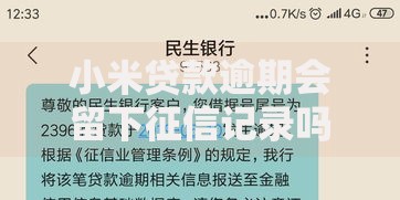 小米贷款逾期会留下征信记录吗？逾期后果全面解析