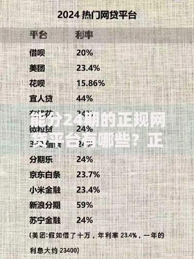 能分24期的正规网贷平台有哪些？正规渠道解析