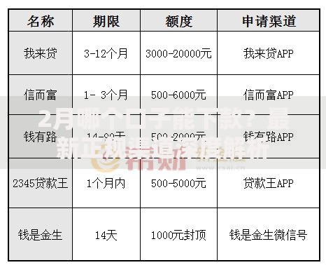 2月哪个口子能下款？最新正规渠道深度解析
