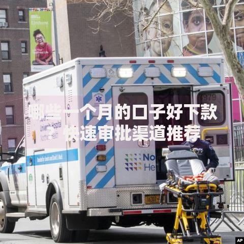 哪些一个月的口子好下款？快速审批渠道推荐
