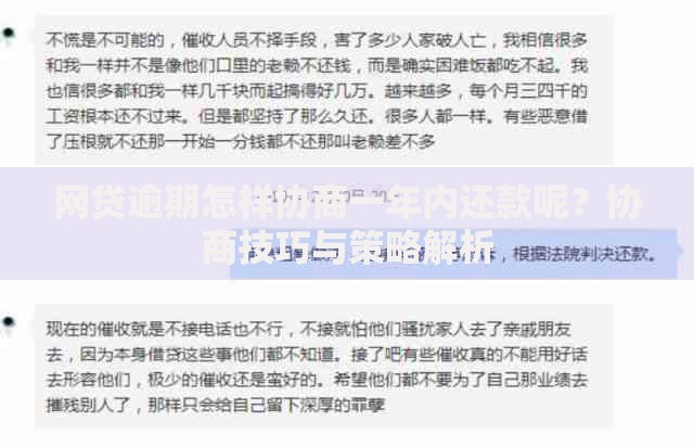 网贷逾期怎样协商一年内还款呢？协商技巧与策略解析