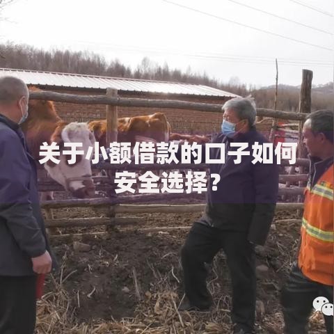 关于小额借款的口子如何安全选择？