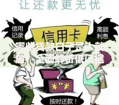 哪些贷款口子是人就放？全面解析低门槛贷款渠道
