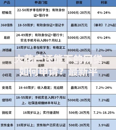 大花户还能下的网贷如何申请？最新平台推荐与条件解析