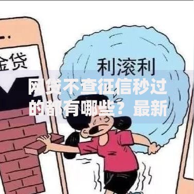 网贷不查征信秒过的都有哪些？最新平台类型解析